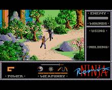 Last Ninja Remix screenshot #4