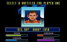 Body Slam Wrestling screenshot #3