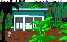 Leisure Suit Larry 3 screenshot #12