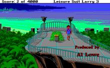 Leisure Suit Larry 3 screenshot #8