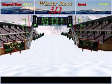 Winter Race 3D screenshot #8