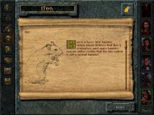 Baldur's Gate screenshot #13