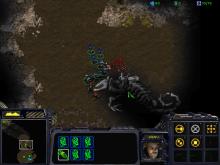 StarCraft screenshot #11