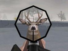 Deer Hunter 3: The Legend Continues screenshot #12