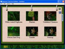 Amazon Trail 3rd Edition: Rainforest Adventures screenshot #11