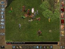 Baldur's Gate 2: Shadows of Amn screenshot #12