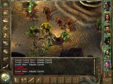 Icewind Dale screenshot #12