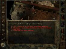 Icewind Dale screenshot #8