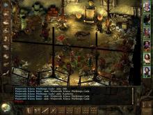 Icewind Dale: Heart of Winter screenshot #15