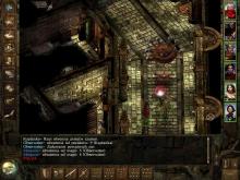 Icewind Dale: Heart of Winter screenshot #3