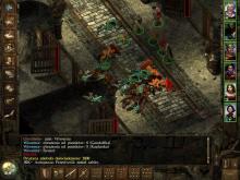 Icewind Dale: Heart of Winter screenshot #4