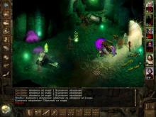 Icewind Dale: Heart of Winter screenshot #5