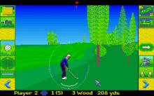Microprose Golf screenshot #11
