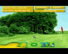 Microprose Golf screenshot #2