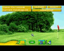 Microprose Golf screenshot #2