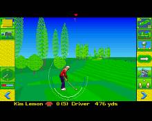 Microprose Golf screenshot #3