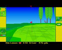 Microprose Golf screenshot #5
