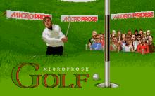 Microprose Golf screenshot #7