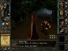 Wizards & Warriors screenshot