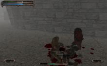 Blade of Darkness screenshot #9