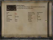 Disciples: Sacred Lands: Gold Edition screenshot #11