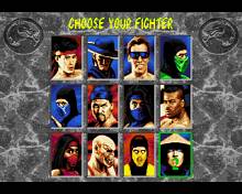 Mortal Kombat 2 screenshot #2