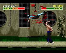 Mortal Kombat 2 screenshot #3