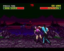 Mortal Kombat 2 screenshot #4