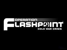 Operation Flashpoint: Cold War Crisis screenshot