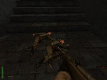 Return to Castle Wolfenstein screenshot #3