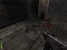 Return to Castle Wolfenstein screenshot #9