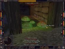 Wizardry 8 screenshot #7