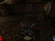 Arx Fatalis screenshot #12