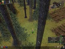 Dungeon Siege screenshot #13