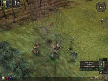 Dungeon Siege screenshot #14