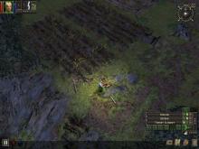 Dungeon Siege screenshot #8