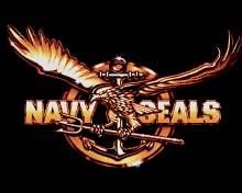 Navy Seals screenshot #1