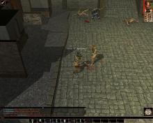 Neverwinter Nights screenshot #9