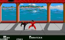 Ninja Mission screenshot #9