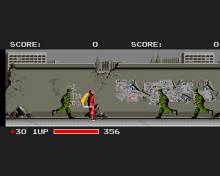 Ninja Warriors screenshot #2