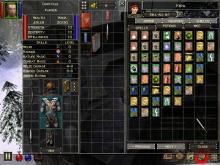 Dungeon Siege: Legends of Aranna screenshot #9