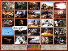 Dinosaur Adventure screenshot #13
