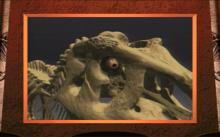 Dinosaur Adventure screenshot #16