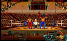 Panza Kick Boxing screenshot #13