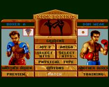 Panza Kick Boxing screenshot #2