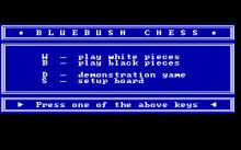 Bluebush Chess screenshot #2