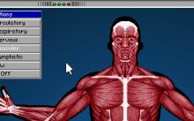 Bodyworks Voyager: Mission in Anatomy screenshot #7