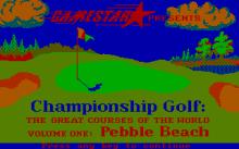 Championship Golf: The Great Courses of the World - Volume I: Pebble Beach screenshot #2
