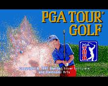 PGA Tour Golf screenshot #2