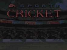 Cricket 96 screenshot